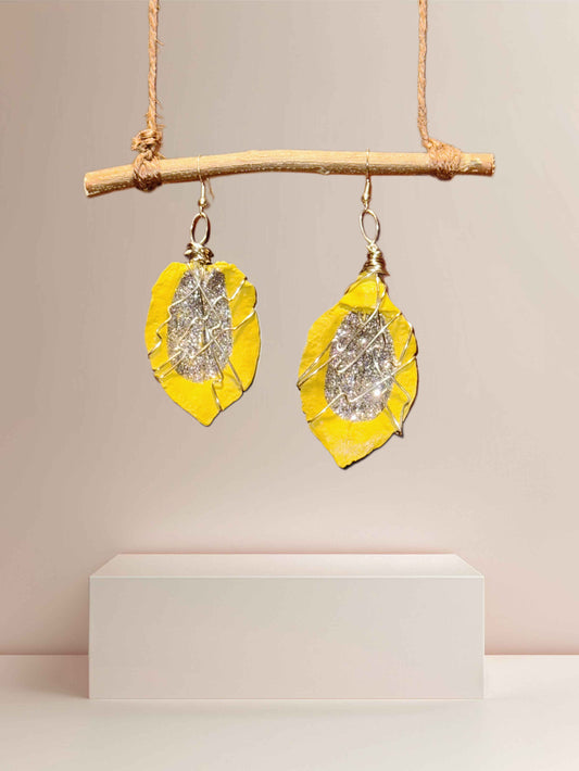 Glow + Shadow Wood Earrings (Medium)